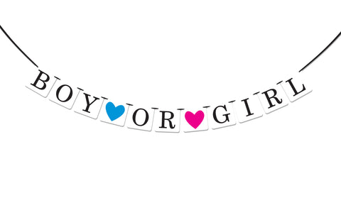 Gender Reveal Banner