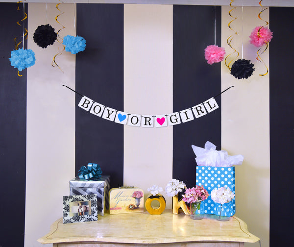 Gender Reveal Banner