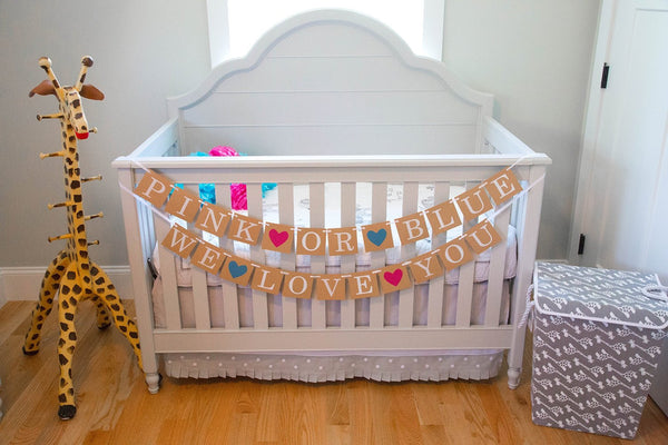 "Pink or Blue" Banner