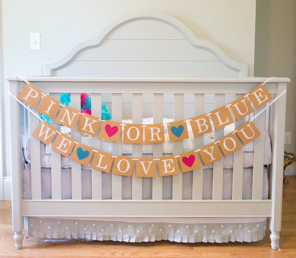 "Pink or Blue" Banner