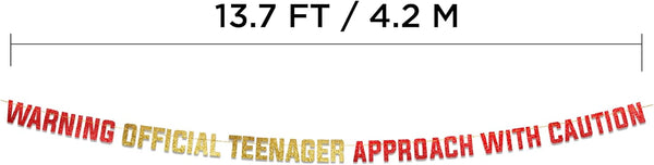 Warning Official Teenager Approach With Caution Gold Glitter Banner